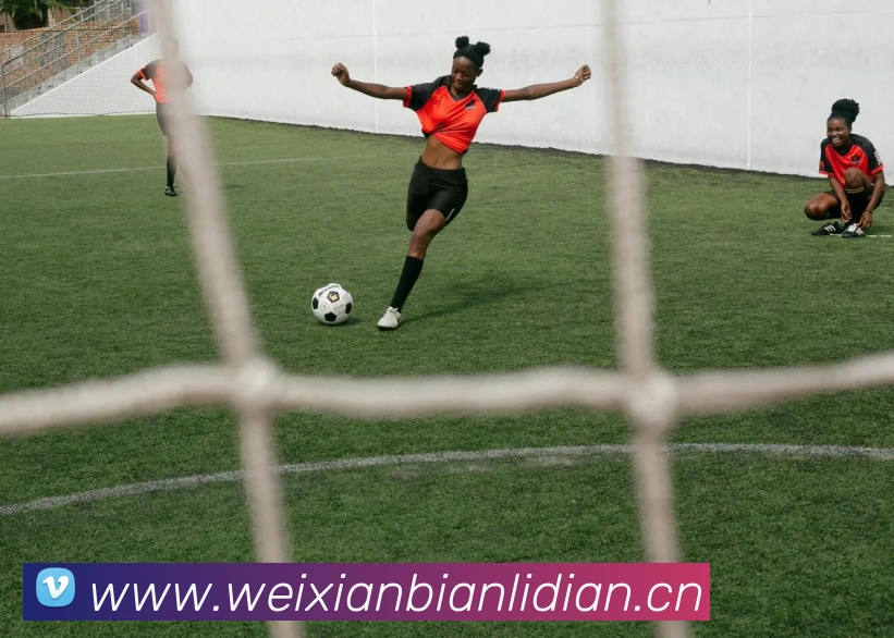 华体网app登录入口服务体系